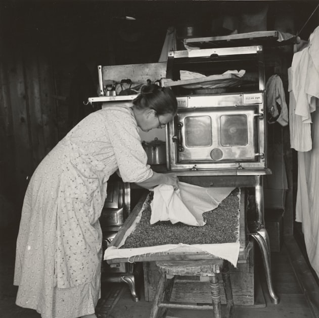 The Evolution of Homemaking